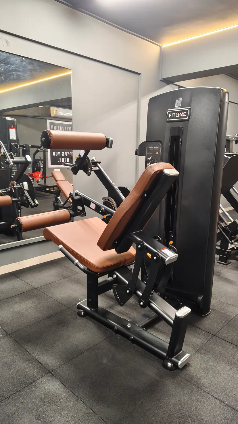 Seated Leg Curl Leg Extension machine